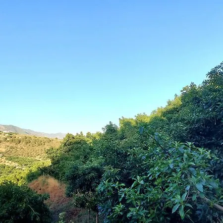 Casa Mango Villa *